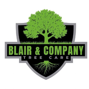 Blair and Company Tree Care