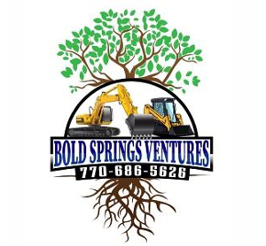Bold Springs Ventures
