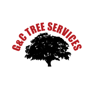 G & C Tree Service
