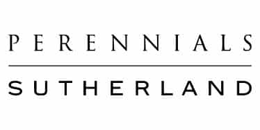 Perennials Sutherland Studio