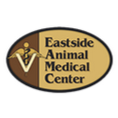 Better Hometown Business Atlanta Eastside Animal Medical Center in Grayson GA