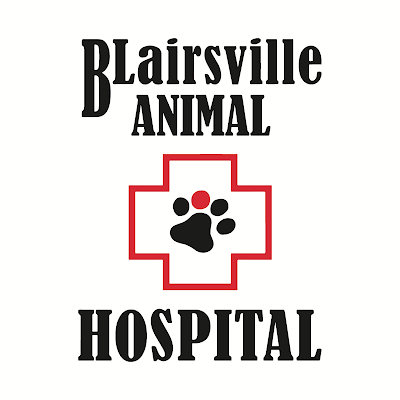 Better Hometown Business Atlanta Blairsville Animal Hospital in Blairsville GA