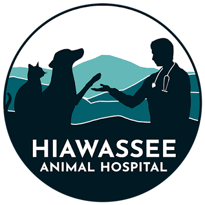 Hiawassee Animal Hospital