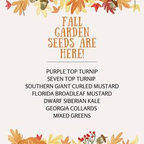 Fall Garden Seeds