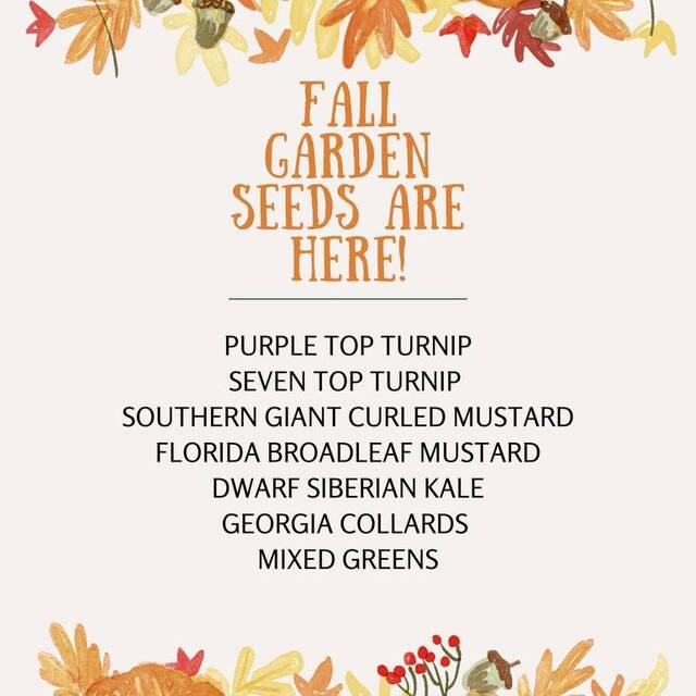 Fall Garden Seeds