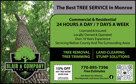 Blair & Company Tree Care