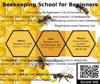 Gwinnett County Beekeepers School