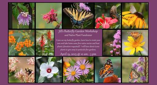 Jill's Butterfly Garden Workshop and Native Plant Fundraiser