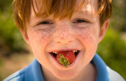 Kickoff to Strawberry Season