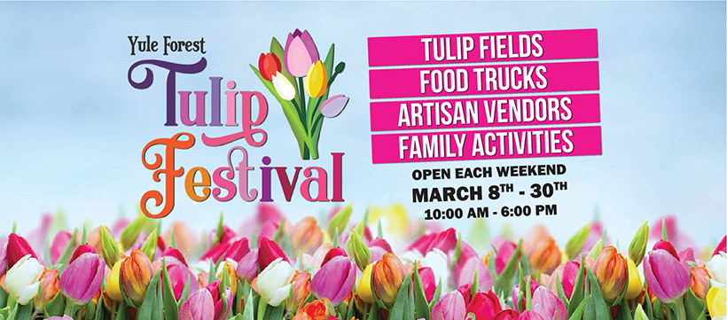 Tulip Festival at Yule Forest