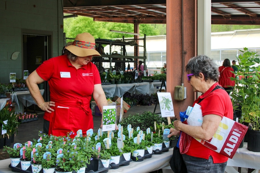 Spring Plant Sale